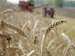 СПКК «Новый Уват»: в помощь представителям сельского хозяйства Уватского района